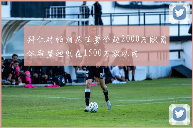 拜仁对帕利尼亚要价超2000万欧葡体希望控制在1500万欧以内