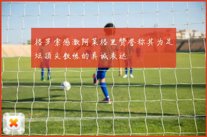 格罗索感激阿莱格里赞誉称其为足坛顶尖教练的真诚表达
