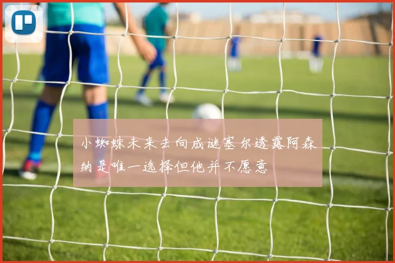 小蜘蛛未来去向成谜塞尔透露阿森纳是唯一选择但他并不愿意